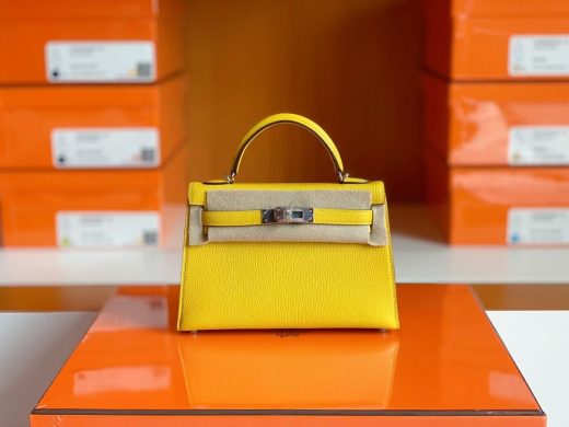 Hermes Birkin Mini Bag Togo Leather Gold Hardware In Lemon